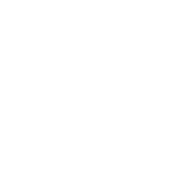 RPS205 Logo