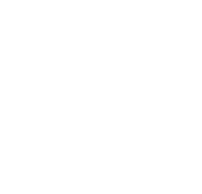 RPS205 Logo